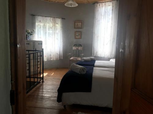 a bedroom with two beds and two windows at Lupela Lodge in Lady Grey