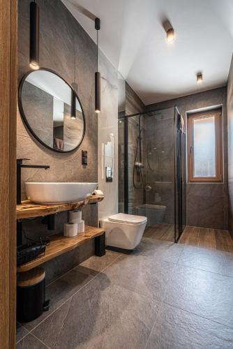 a bathroom with a sink and a toilet and a mirror at Willa Trawers in Zakopane