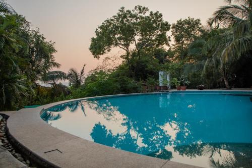 una piscina azul con árboles en el fondo en Wildflower Villas en Candolim