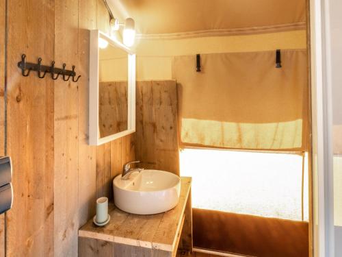 a bathroom with a sink and a window at Lodge Holidays - Vrijhaven Heeg in Heeg