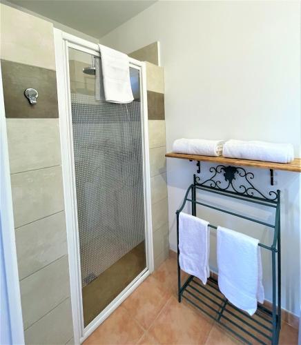 a shower with a glass door and towels on a shelf at Le Mas Carré Séguret in Séguret