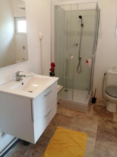 La salle de bains est pourvue d'un lavabo et d'une douche. dans l'établissement La Petite Maison Des Vignes, 