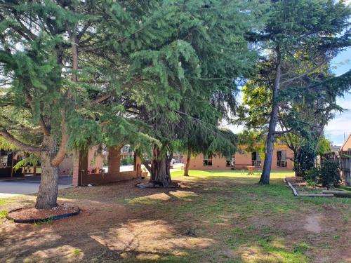 two trees in a park with a building in the background at Golden Grain Motor Inn in Horsham