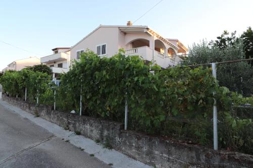 a hedge of grapes on a fence in front of a house at Apartments Sergej in Drače