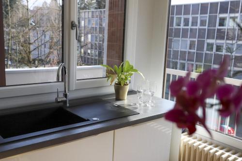 un comptoir de cuisine avec un évier et une fenêtre dans l'établissement Azur Bleu 4 étoiles Annecy centre-ville et lac lumineux, à Annecy