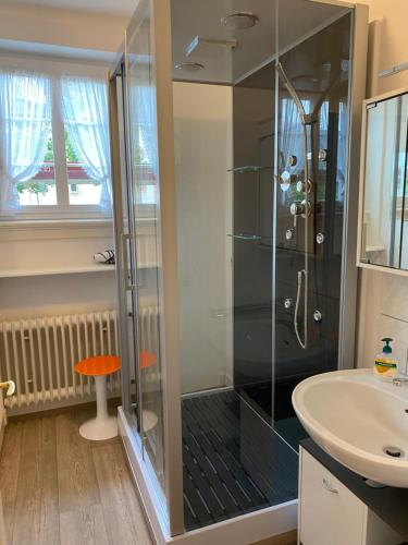 a bathroom with a shower and a sink at Haus Silberdistel in Todtmoos