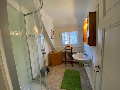 een badkamer met een glazen douche en een wastafel bij Haus Silberdistel in Todtmoos