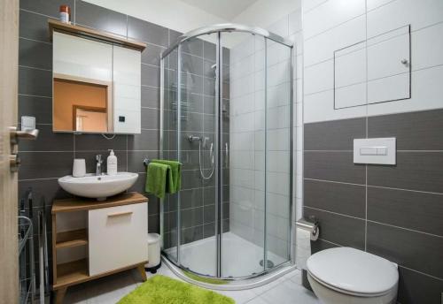 a bathroom with a shower and a toilet and a sink at Astra Lipno in Frymburk