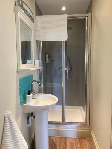 a bathroom with a sink and a shower at Annexe Newnham in Daventry