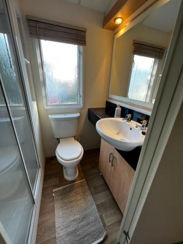 a bathroom with a toilet and a sink at Dedham Lodge in Lawford