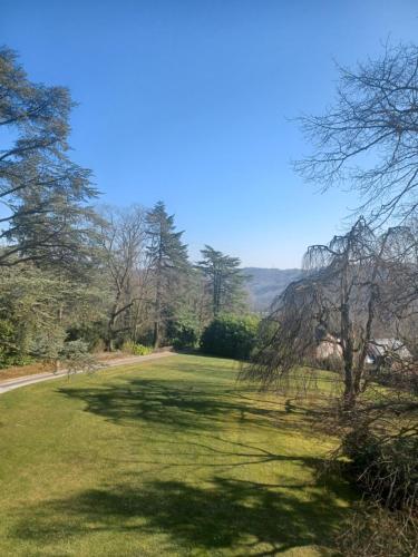 un grand champ herbeux avec des arbres et une route dans l'établissement Un Toit sur les Monts, à Esneux