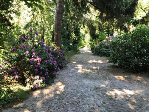 a garden path with purple flowers and trees at Ferienhaus Hudemühlen in Hodenhagen