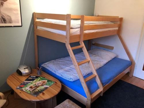 a bunk bed with a wooden ladder and a table at Ferienhaus Hudemühlen in Hodenhagen