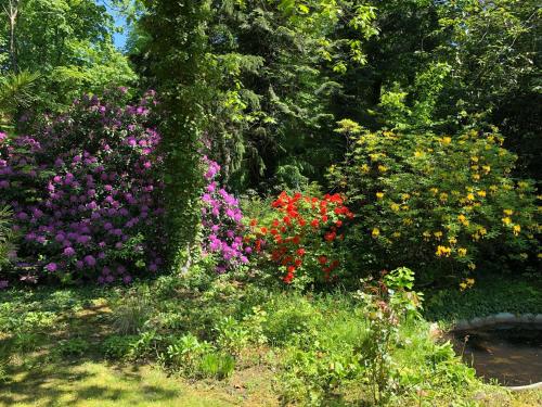 a garden filled with lots of colorful flowers at Ferienhaus Hudemühlen in Hodenhagen