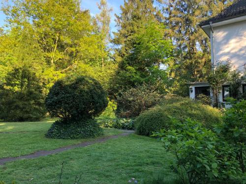 a garden with a bush next to a house at Ferienhaus Hudemühlen in Hodenhagen