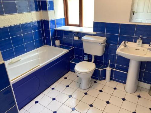 La salle de bains est pourvue de carrelage bleu, de toilettes et d'un lavabo. dans l'établissement Beautiful & Quiet Countryside Setting in Kinsale, à Cork