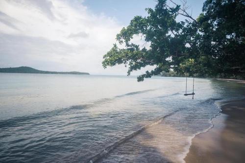 a beach with two swings in the water at Naks Shack in Koh Ta kiev Island