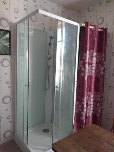 uma casa de banho com uma cabina de duche em vidro e um espelho. em le tilleul em Bellac