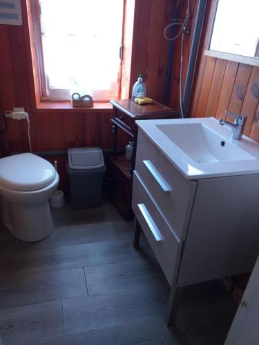 uma casa de banho com um lavatório e um WC em le tilleul em Bellac