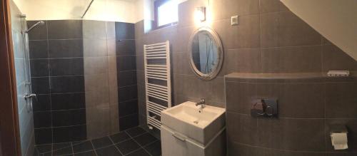 a bathroom with a sink and a mirror at Vass-Villa Vendégház in Szekszárd