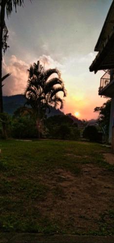 a sunset with a palm tree in a field at Top Heaven in Ella