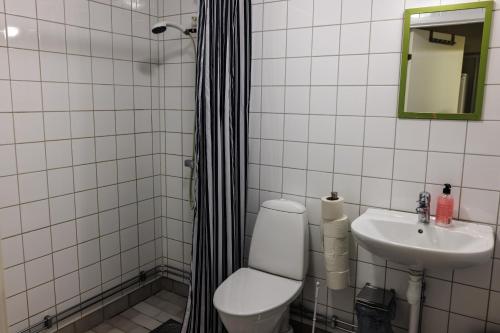 a bathroom with a toilet and a sink at Resö Hamnmagasin vandrarhem in Resö