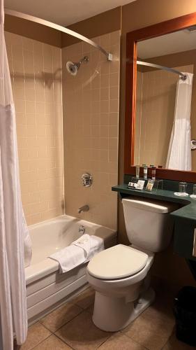 a bathroom with a toilet and a tub and a sink at The Frobisher Inn in Iqaluit