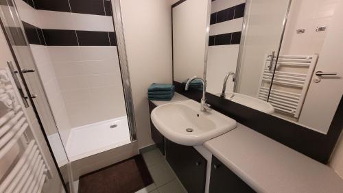 een kleine badkamer met een wastafel en een douche bij T3 “Hoedic“- 50 m de la plage de Fort Bloqué/Ploemeur in Ploemeur