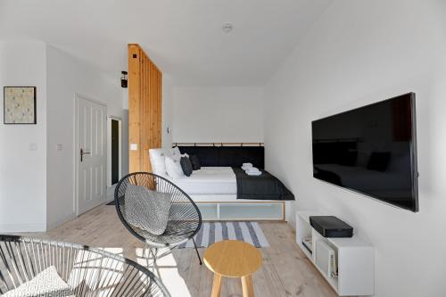 Televízia a/alebo spoločenská miestnosť v ubytovaní Szeroka Boutique by Downtown Apartments