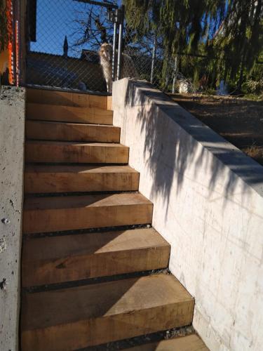 a set of wooden stairs next to a wall at Swiss Borzoi House in Bellerive