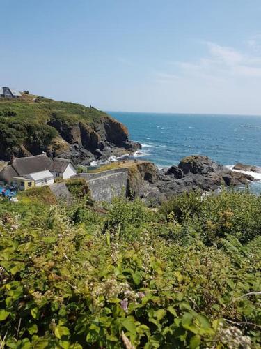 a house on top of a cliff near the ocean at Captain's Cabin in Cadgwith