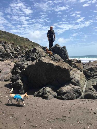 a man and two dogs on a rocky beach at Captain's Cabin in Cadgwith