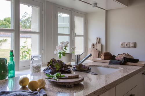 a kitchen with a counter with a sink and windows at Domaine de la Trigalière in Ambillou