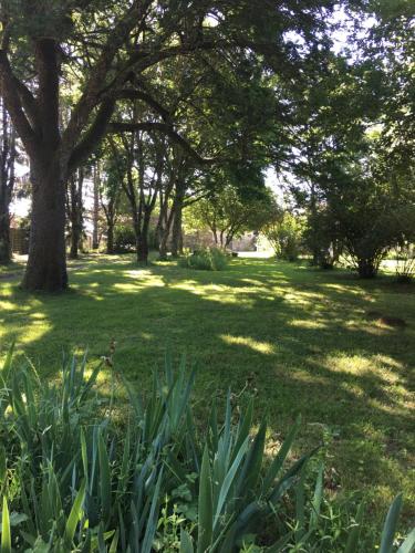 a park with trees and plants in the grass at La Chartreuse in Larroque-Engalin