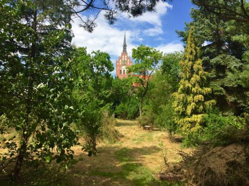 a garden with a building in the background with trees at Spurensucher Quartier in Usedom Town