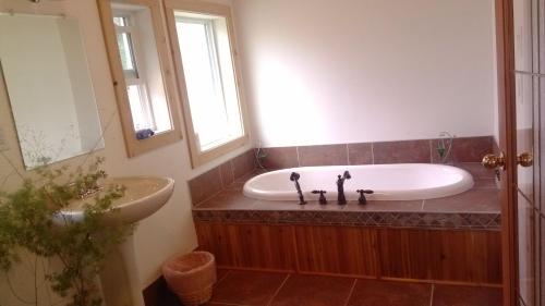 a bathroom with a tub and a sink and a window at Harrison Hammond House Farmstay in Harrison Mills