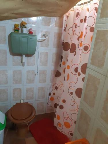 a bathroom with a toilet and a shower curtain at Habitación en casa zona Asunción in Asunción