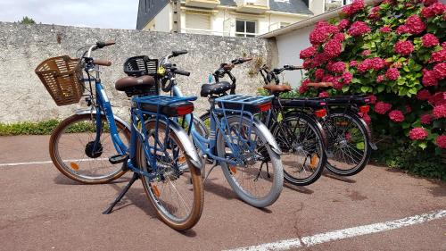three bikes parked next to each other in front of flowers at Les Chants d'Ailes - Hôtel Face Mer in La Turballe
