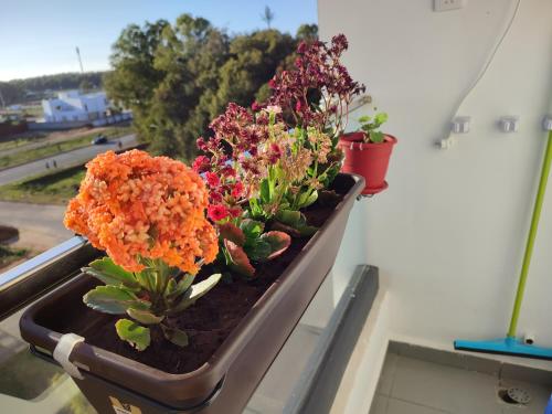Jardín al aire libre en L'Orchidée de Kénitra