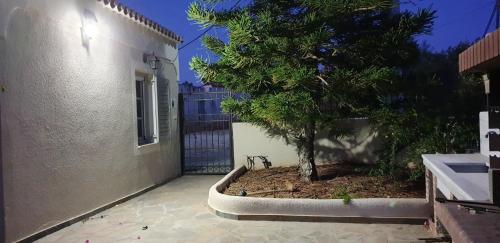 a tree in a planter next to a building at House with sea view in Porto Heli, fireplace and garden in Porto Heli