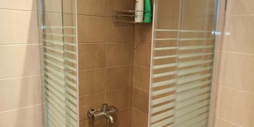 prysznic ze szklanymi drzwiami i prysznicem w obiekcie Paris house 3 w mieście Patras