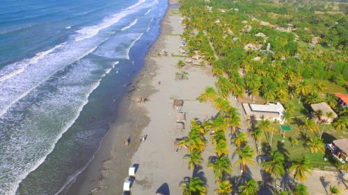 an aerial view of a beach with palm trees at Maria Moñitos Hostel in Moñitos