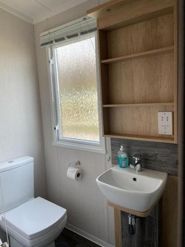 a bathroom with a toilet and a sink and a window at Swift Bordeaux in Dunoon