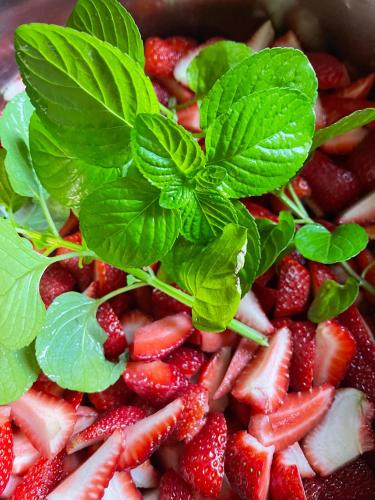 Mad på bed and breakfast-stedet eller i nærheden