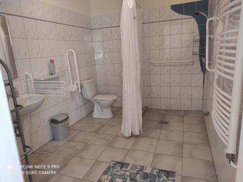 a bathroom with a toilet and a sink at Montana-Ederics Vendégház in Balatonederics
