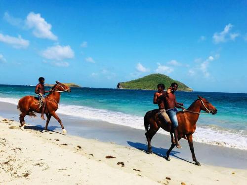 a group of people riding horses on the beach at VILLA COLIBRI in Mon Repos