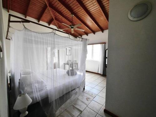 a bedroom with a bed with a white curtain at VILLA COLIBRI in Mon Repos