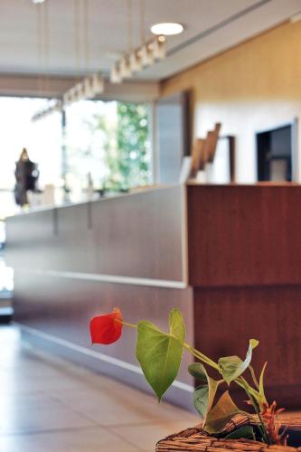 Фотография из галереи Bergwirtschaft Wilder Mann Hotel und Restaurant в Дрездене