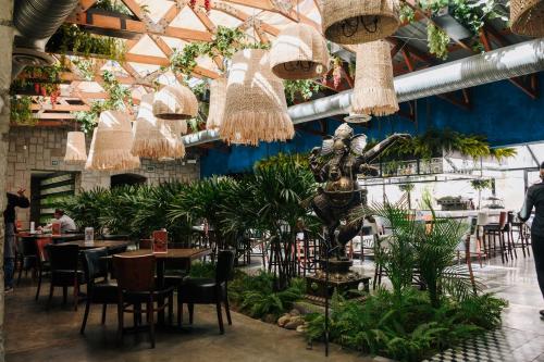 a restaurant with tables and chairs and potted plants at Hotel Victoria Express in Durango
