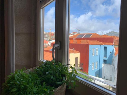 a window with a potted plant and a view of a city at Lost Inn Porto Hostel in Porto